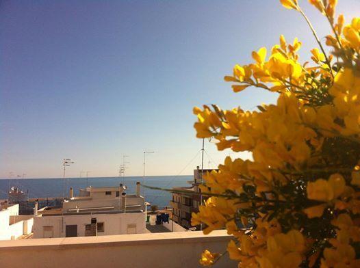 Bed and Breakfast Dimora Delle Rondini Polignano a Mare Exterior foto